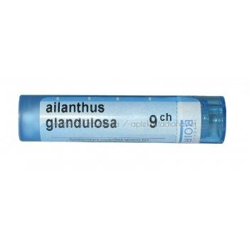 AILANTHUS GLANDULOSA 9CH / АИЛАНТУС ГЛАНДУЛОЗА