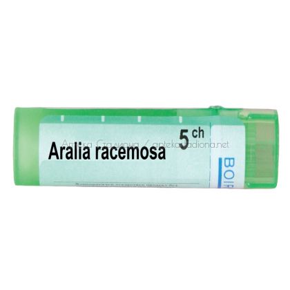 ARALIA RACEMOSA 5CH / АРАЛИА РАЦЕМОЗА
