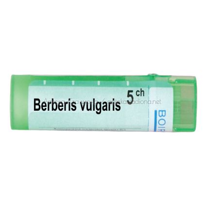 BERBERIS VULGARIS CH 5 / БЕРБЕРИС ВУЛГАРИС СН  5